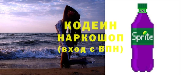 индика Волоколамск
