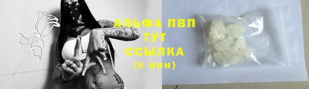 индика Волоколамск
