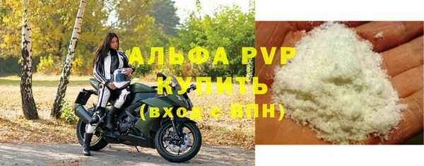 индика Волоколамск