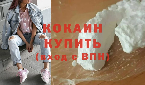 индика Волоколамск