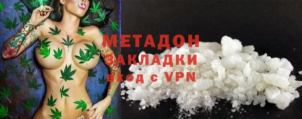индика Волоколамск