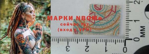 индика Волоколамск