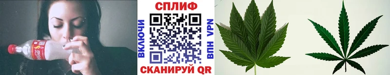 купить   Ноябрьск  Конопля SATIVA & INDICA 